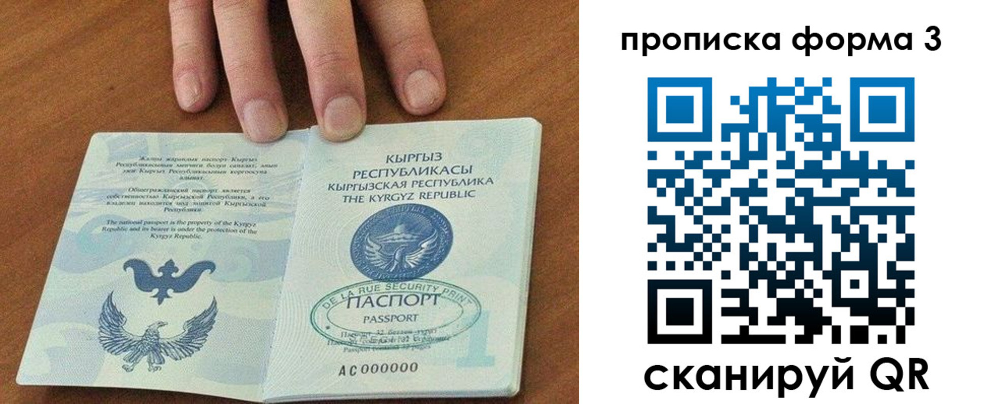 прописка 2025 в Звенигово